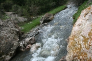 IMG_4238.JPG