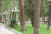 img_3530.png