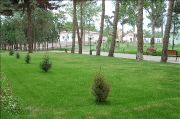 img_3484.png